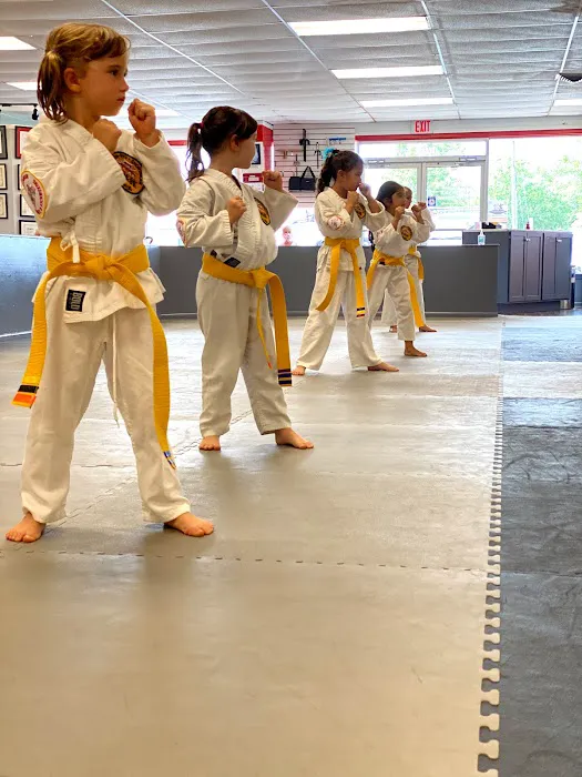 C D Williamson Karate & Kckbxg Picture 2