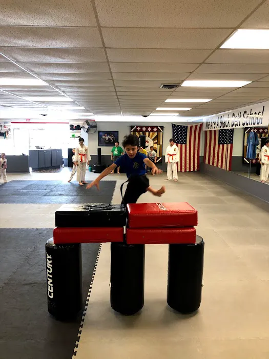 C D Williamson Karate & Kckbxg Picture 1