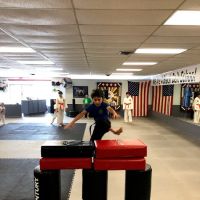 C D Williamson Karate & Kckbxg ico