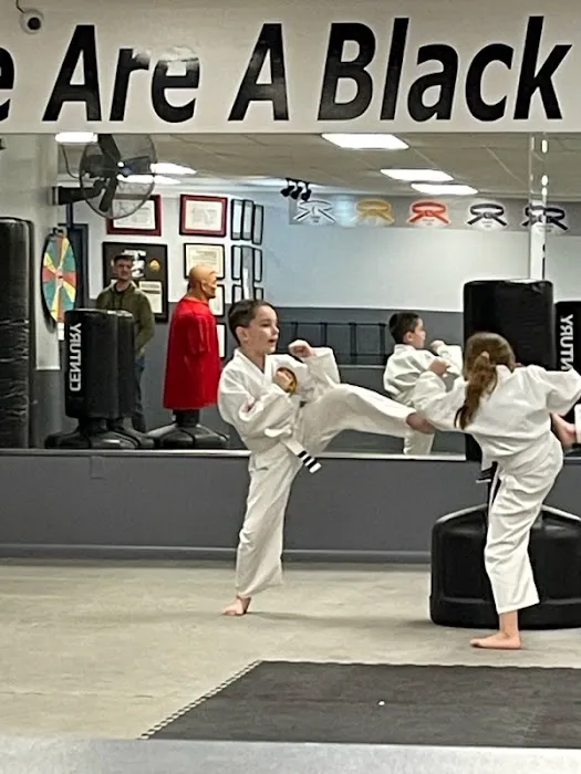 C D Williamson Karate & Kckbxg Picture 5