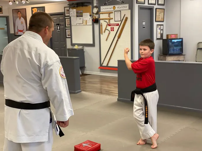 C D Williamson Karate & Kckbxg Picture 6