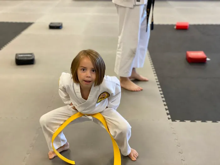 C D Williamson Karate & Kckbxg Picture 9