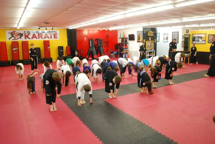 C D Williamson Karate & Kckbxg Picture 8
