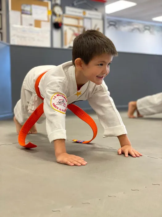 C D Williamson Karate & Kckbxg Picture 10