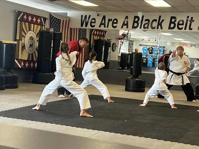 C D Williamson Karate & Kckbxg Picture 7
