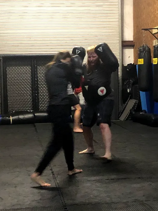 Gioe's School of Combat Arts Picture 2