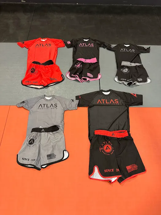 Atlas Martial Arts Picture 3