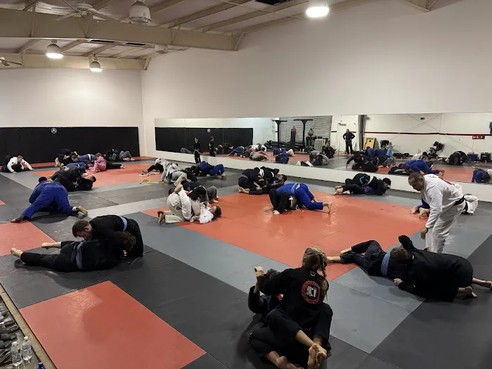 Atlas Martial Arts Picture 9