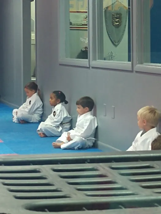 Crestview ATA Martial Arts Picture 1