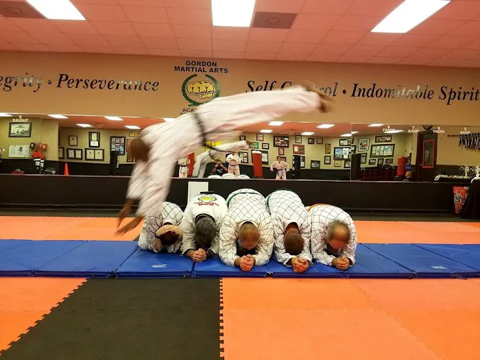 Gordon Martial Arts Picture 4