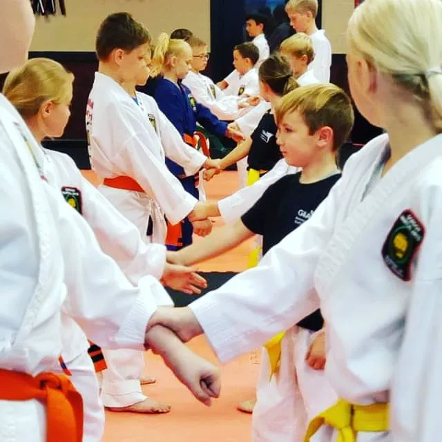 Gordon Martial Arts Picture 3