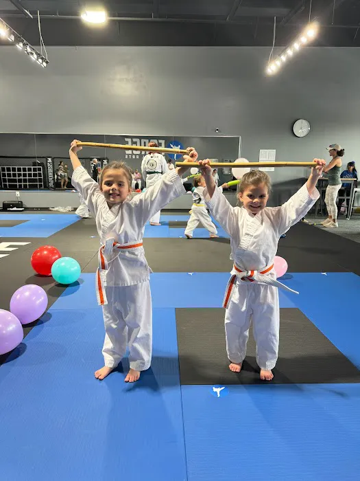 Forge Martial Arts Picture 3