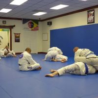 Gracie Jiu-Jitsu Destin Team Pedro Sauer ico