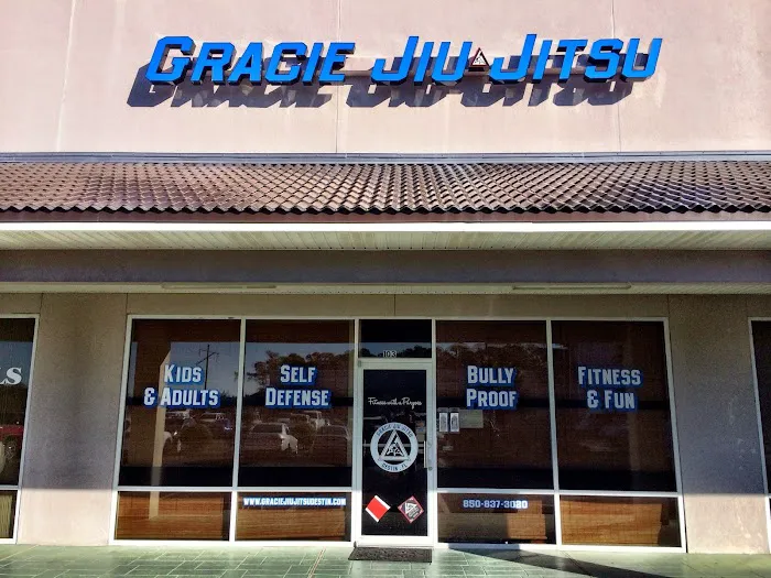Gracie Jiu-Jitsu Destin Team Pedro Sauer Picture 3