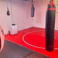 Ludus Magnus MMA ico