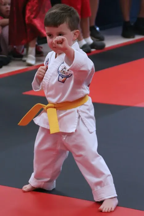 Bonifay ATA Martial Arts Picture 1
