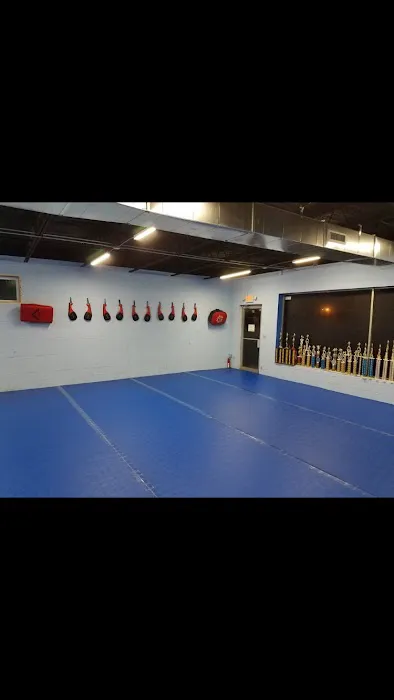 Mojukai Karate Picture 1