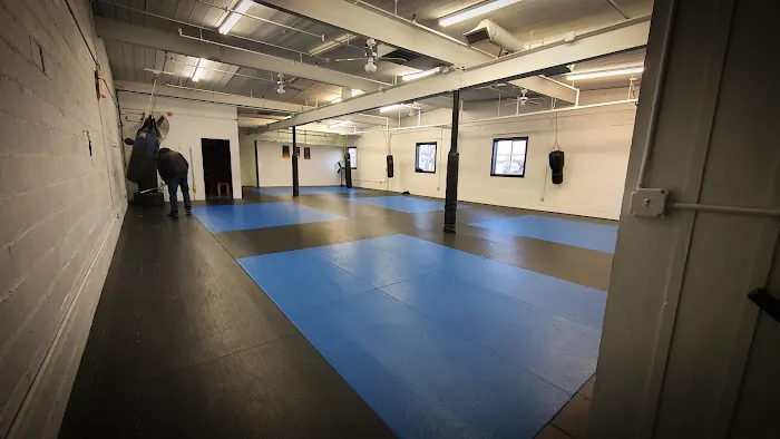 Forged BJJ Krav Maga Self Defense Martial Arts Academy Picture 2
