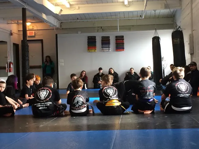 Forged BJJ Krav Maga Self Defense Martial Arts Academy Picture 5