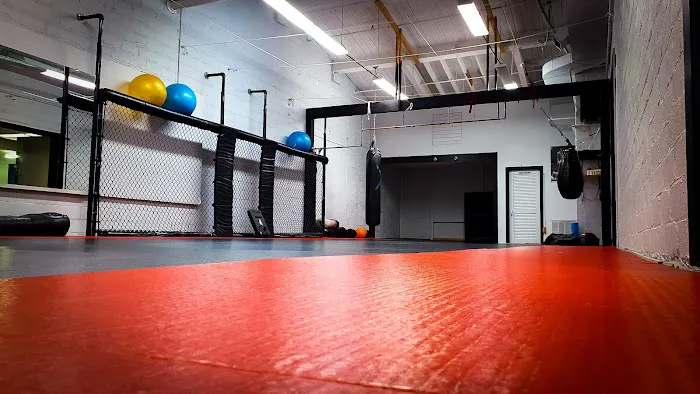 Forged BJJ Krav Maga Self Defense Martial Arts Academy Picture 3