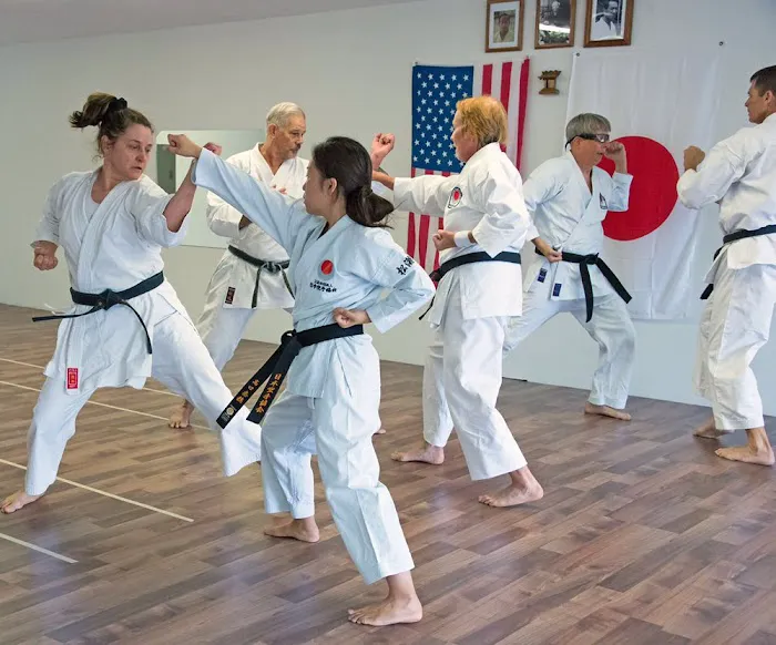 Phoenix Shotokan Karate Picture 7