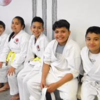 Phoenix Shotokan Karate ico