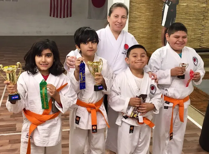 Phoenix Shotokan Karate Picture 4