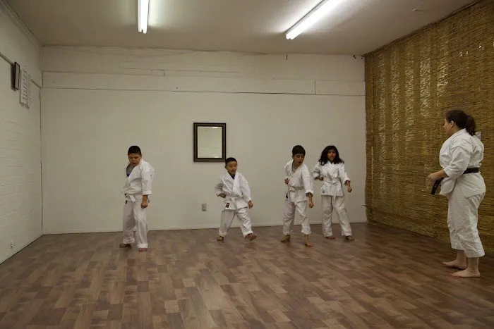 Phoenix Shotokan Karate Picture 9