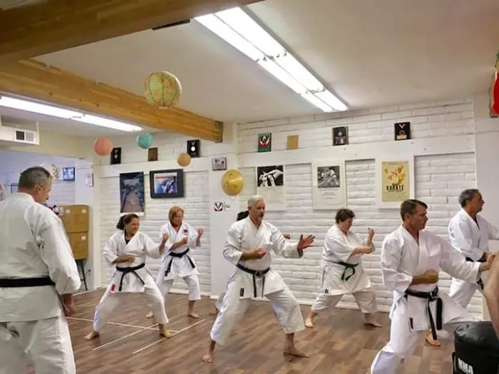 Phoenix Shotokan Karate Picture 2