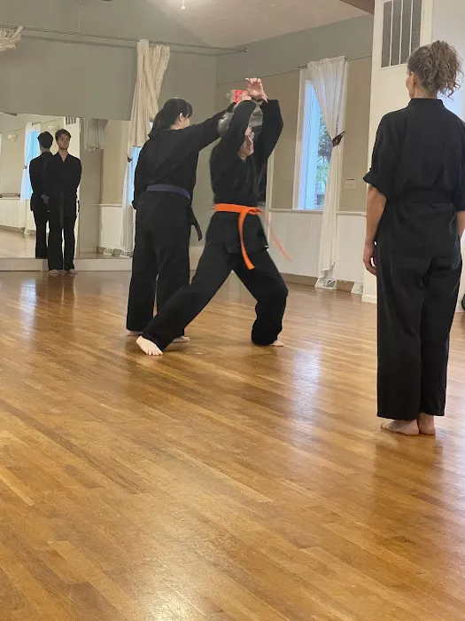 Reflect Martial Arts Picture 6