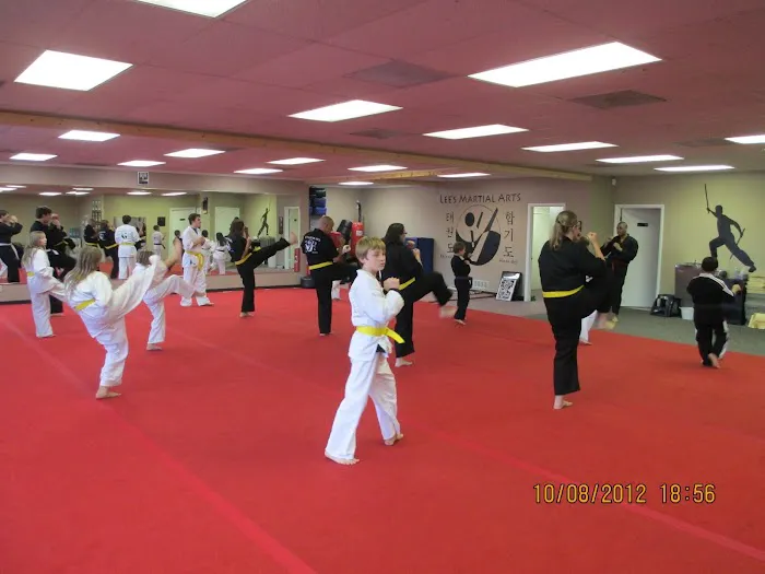 Lee's Martial Arts Picture 2