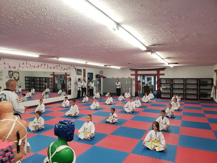 Lucas Martial Arts Academy Picture 3