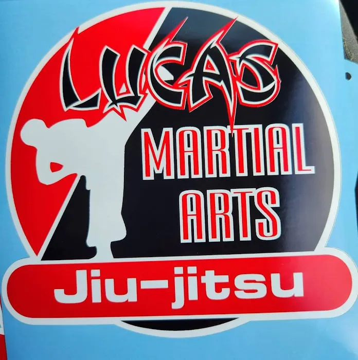 Lucas Martial Arts Academy Picture 2