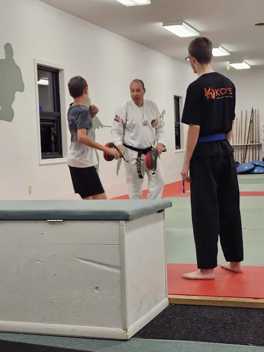 Vogels Knock Out Martial Arts Picture 9