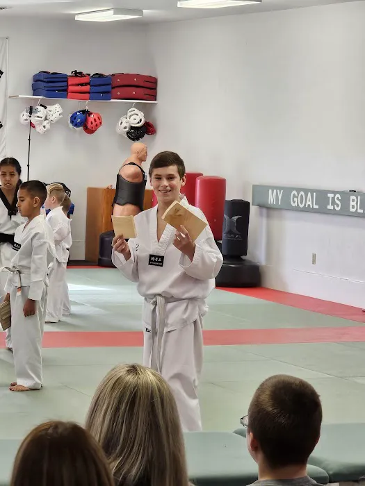 Vogels Knock Out Martial Arts Picture 1