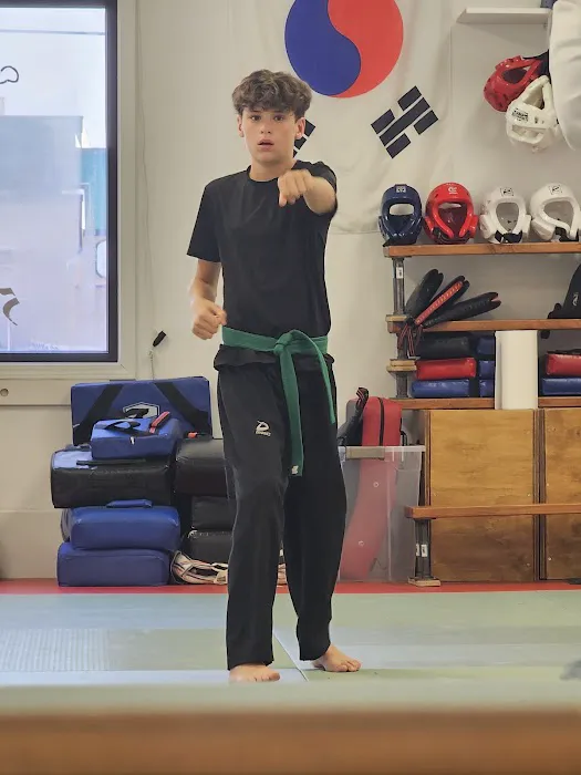 Vogels Knock Out Martial Arts Picture 2