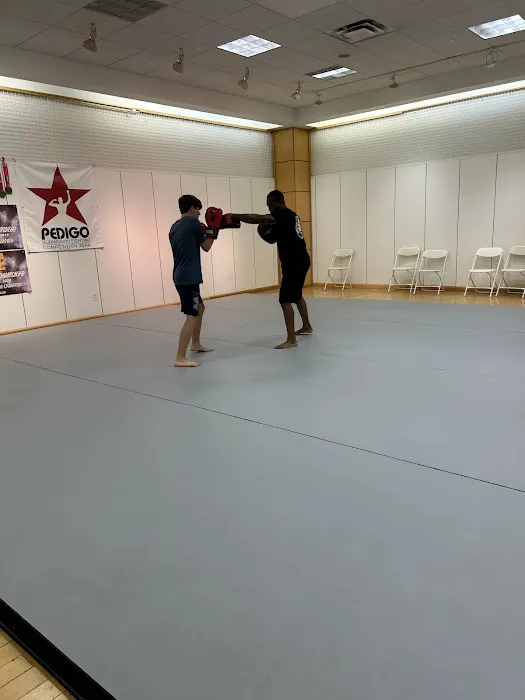 Cheeks Martial Arts Academy Picture 4