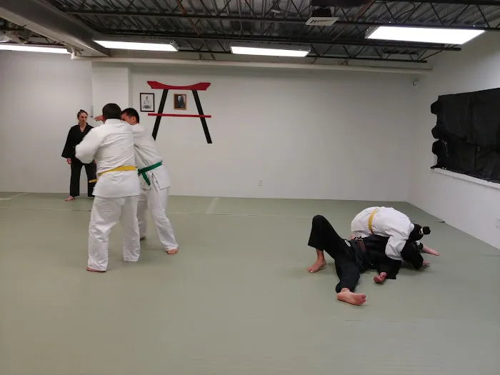 Dento Teki Na Judo & Jujitsu Dojo Picture 3