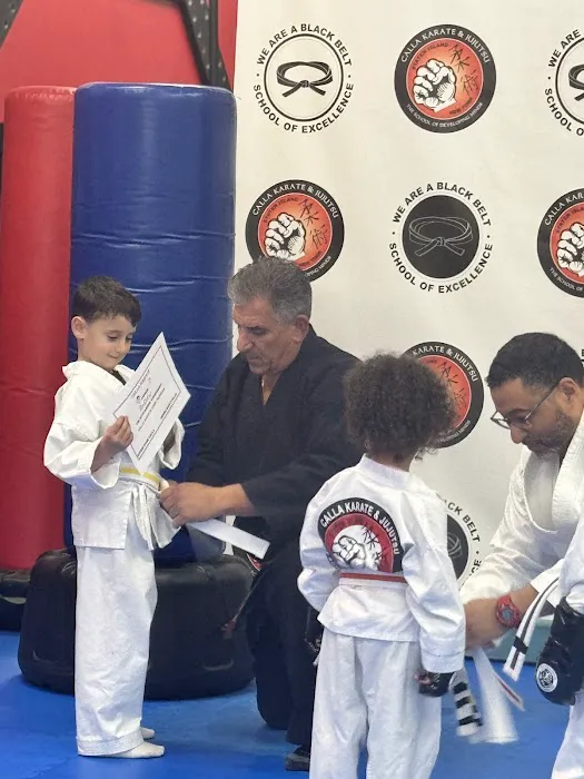 Calla Karate and Jujutsu Picture 8