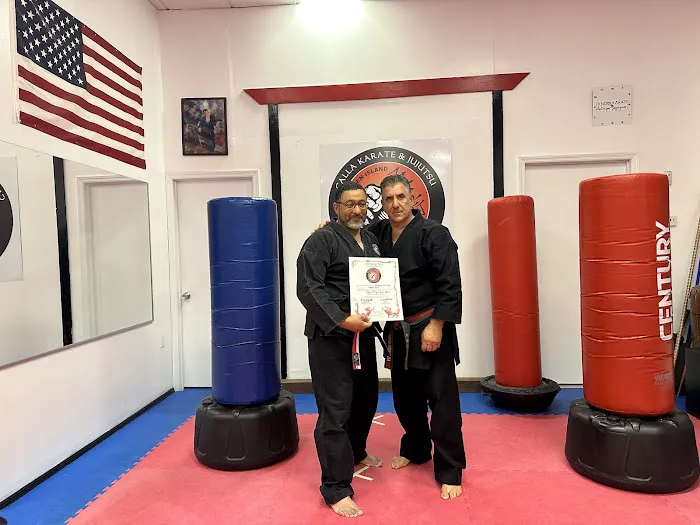 Calla Karate and Jujutsu Picture 3