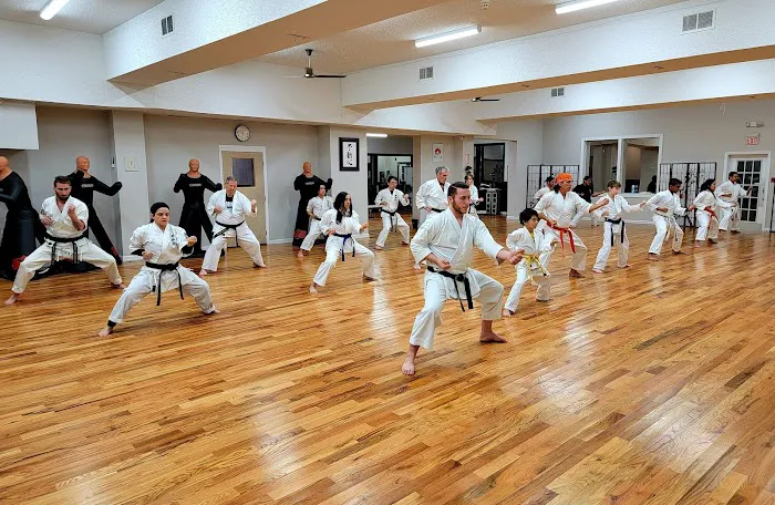 United Martial Artist Academy Picture 8