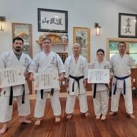 United Martial Artist Academy ico