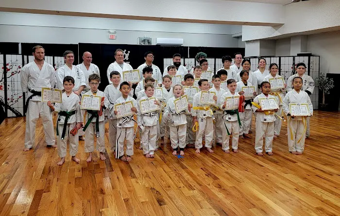United Martial Artist Academy Picture 6