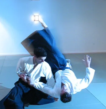 Aikido of Red Bank Picture 1
