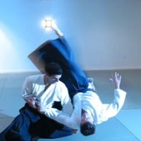 Aikido of Red Bank ico