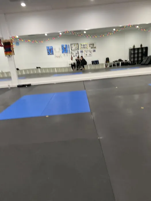 Dynamic Martial Arts Academy of Colts Neck Picture 7