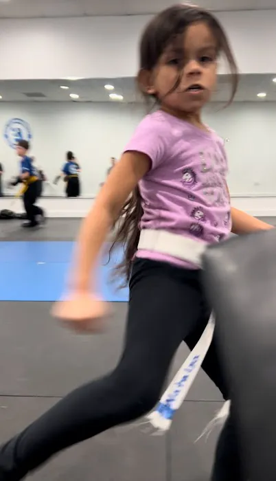 Dynamic Martial Arts Academy of Colts Neck Picture 3