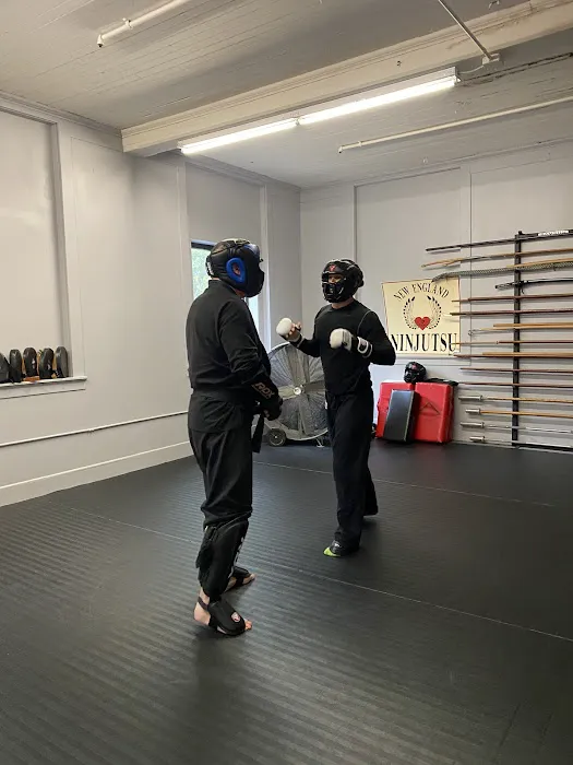 New England Ninjutsu Picture 2