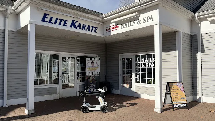 Elite Karate & Krav Maga Picture 2
