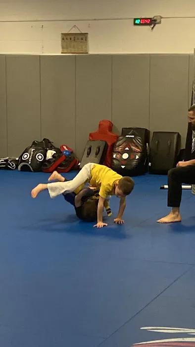 Nitsuj Martial Arts Picture 5